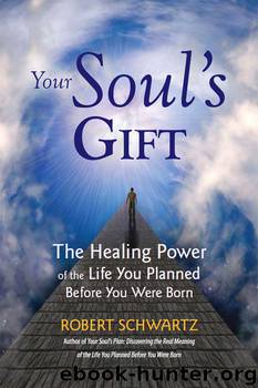 Your Souls Gift - The Healing Power of the Life You Planned Before You Were Born by Robert Schwartz