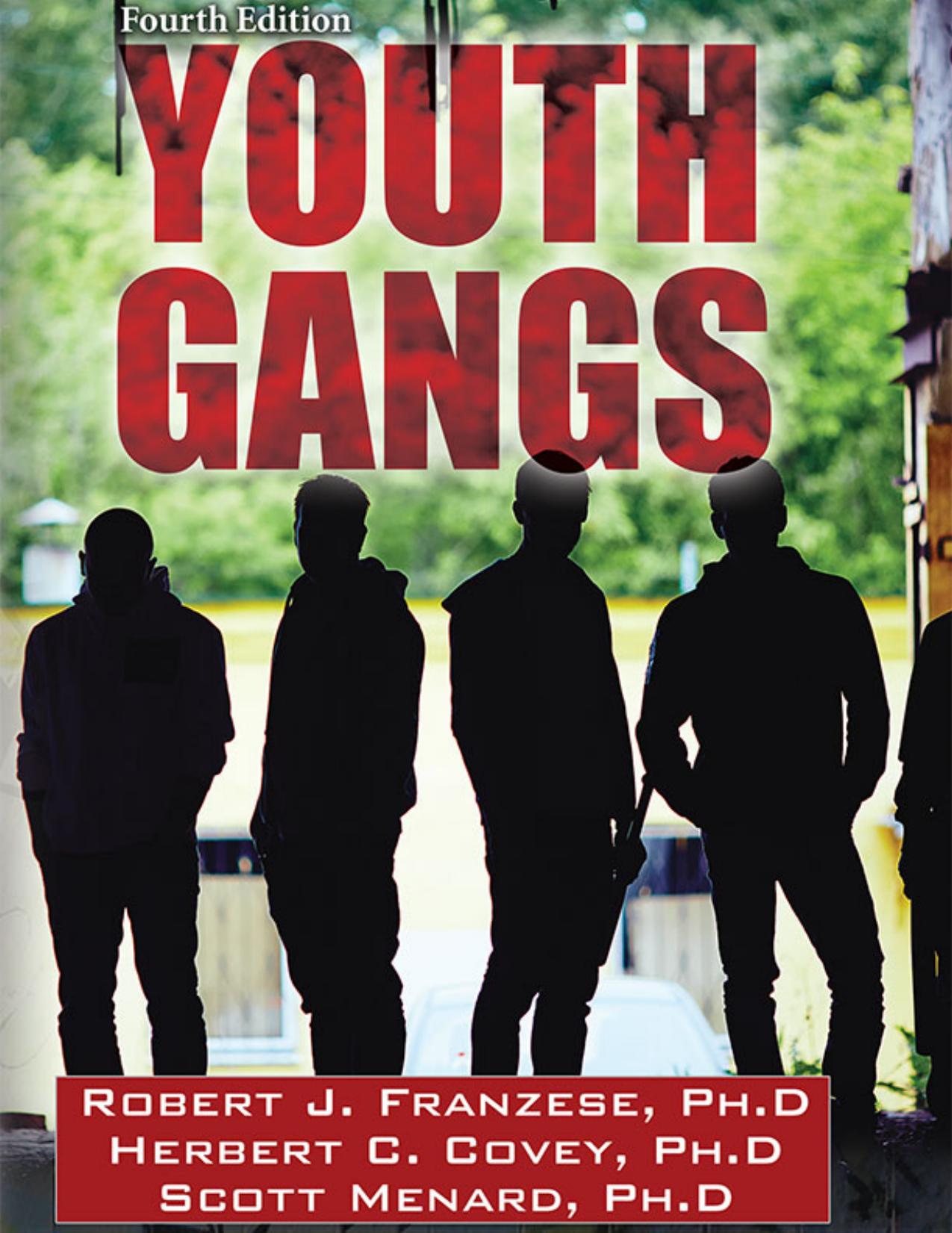 Youth Gangs, Fourth Edition by Unknow