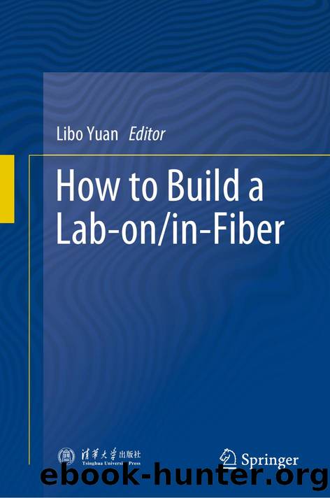 Yuan L. How to Build a Lab-on-in-Fiber 2025 by Unknown