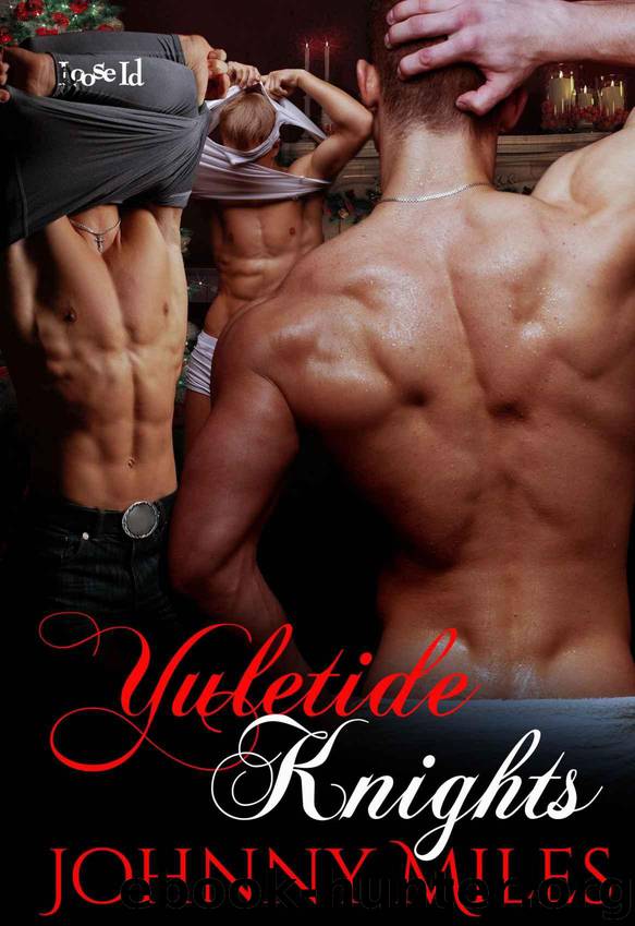 Yuletide Knights by Johnny Miles