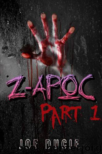 Z-APOC: When John Met Sarah by Joe Ducie