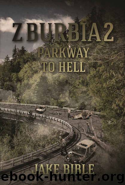 Z-Burbia 2: Parkway To Hell by Bible Jake