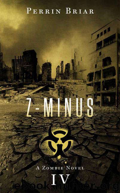 Z-Minus (Book 4) by Briar Perrin