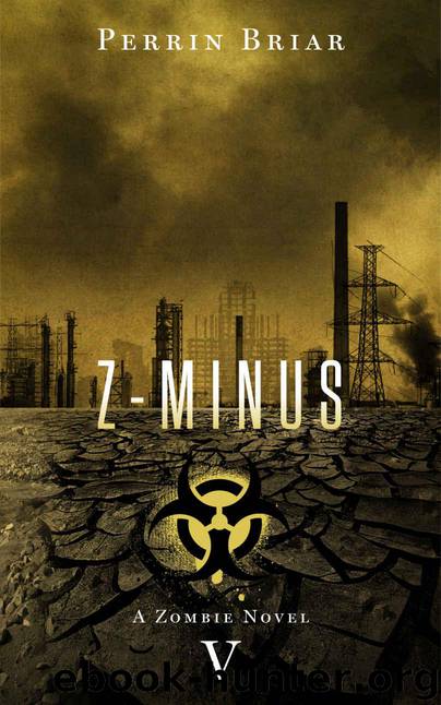 Z-Minus (Book 5) by Briar Perrin
