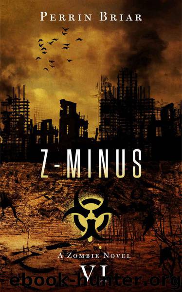 Z-Minus (Book 6) by Briar Perrin