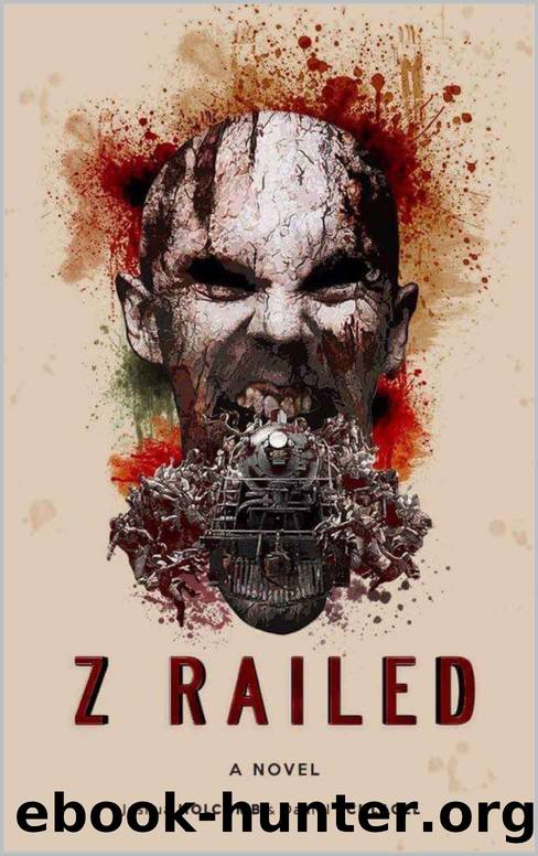 Z-Railed by Joshua Holcomb & Daniel Schlagel