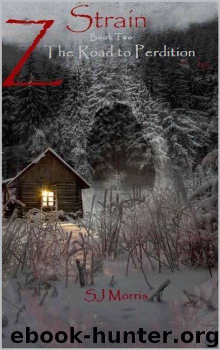 Z-Strain (Book 2): The Road to Perdition by Morris SJ