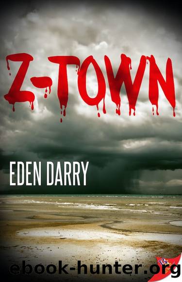 Z-Town by Eden Darry
