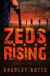 Z.E.D.S. Series (Book 1): Z.E.D.S. Rising by Botts Bradley
