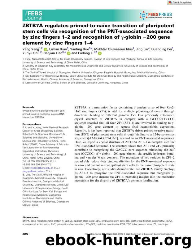 ZBTB7A regulates primedâtoânaÃ¯ve transition of pluripotent stem cells via recognition of the PNTâassociated sequence by zinc fingers 1â2 and recognition of Î³âglobin â by Unknown