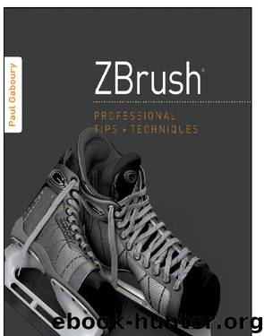 ZBrush Professional Tips and Techniques by Gaboury Paul