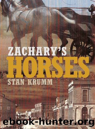 Zachary's Horses by Stan Krumm