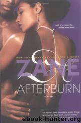 Zane's Afterburn: A Novel by Zane