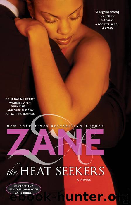Zane's the Heat Seekers by Zane