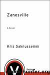 Zanesville: A Novel by Saknussemm Kris