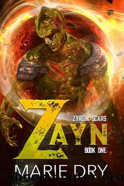 Zayn by Marie Dry