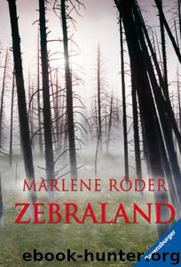 Zebraland by Marlene Roeder