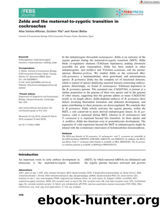 Zelda and the maternalâtoâzygotic transition in cockroaches by Unknown