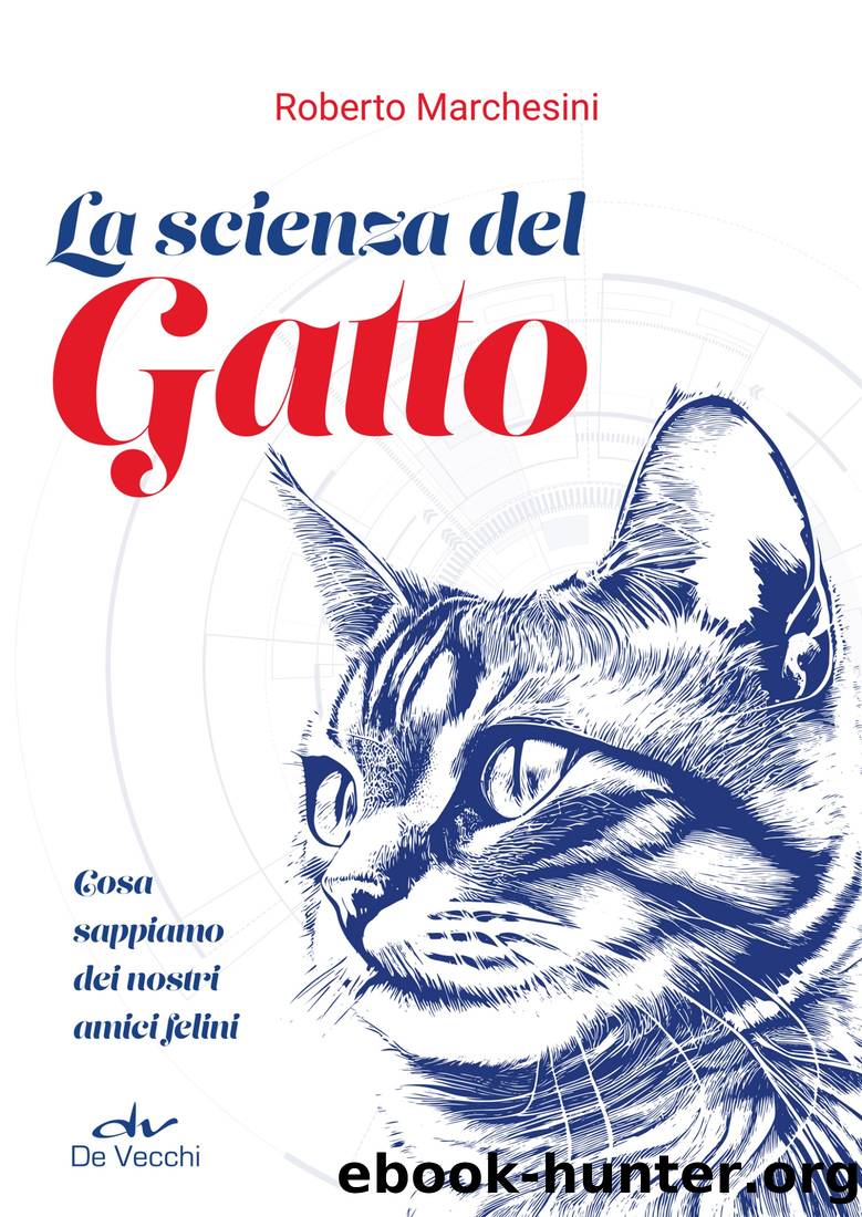 Zelens'kyj (Italian Edition) by Fulvio Scaglione