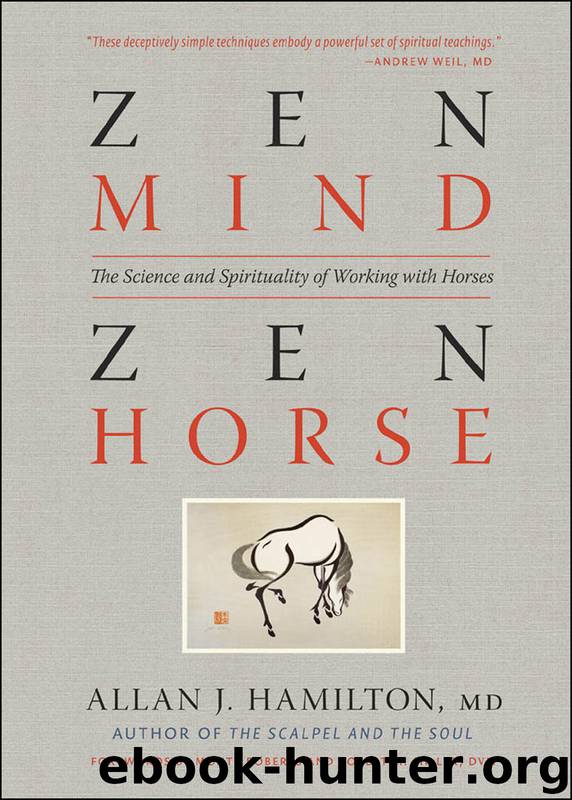 Zen Mind, Zen Horse by Allan J. Hamilton