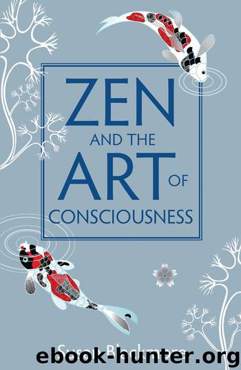 Zen and the Art of Consciousness by Susan Blackmore