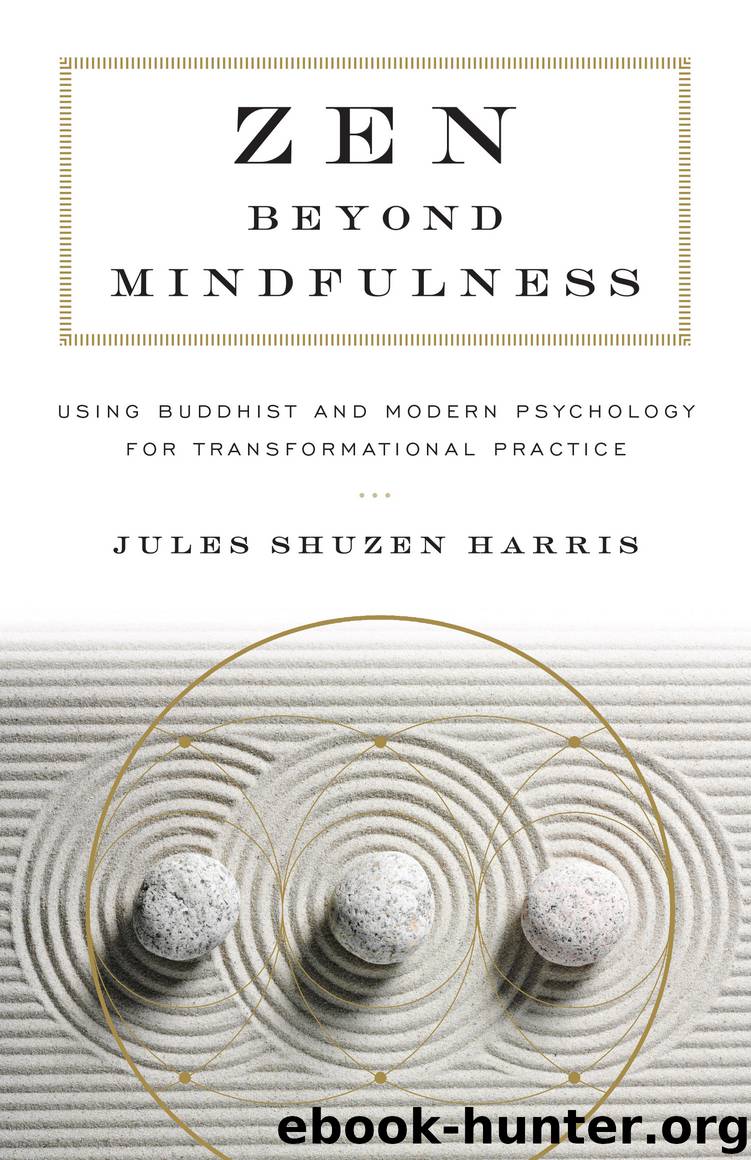 Zen beyond Mindfulness by Jules Shuzen Harris & Pat Enkyo O'Hara