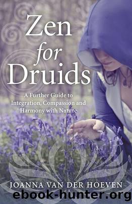 Zen for Druids: A Further Guide to Integration, Compassion and Harmony With Nature by Joanna van der Hoeven