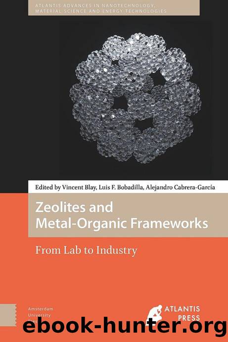 Zeolites and Metal-Organic Frameworks: From lab to industry by Blay V. Bobadilla L.F. García A.C. (ed.)