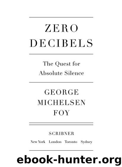 Zero Decibels by George Michelsen Foy