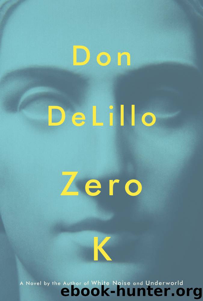Zero K by Don DeLillo