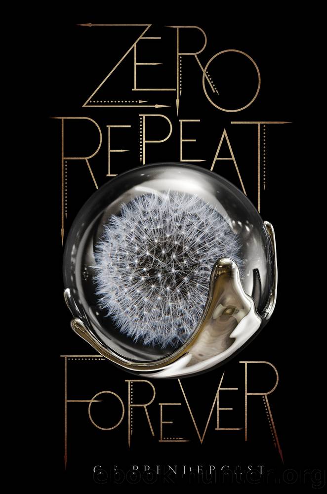 Zero Repeat Forever by G S Prendergast