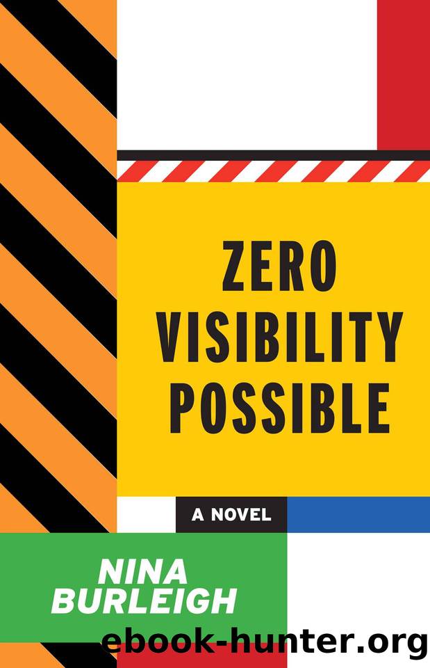 Zero Visibility Possible by Nina Burleigh