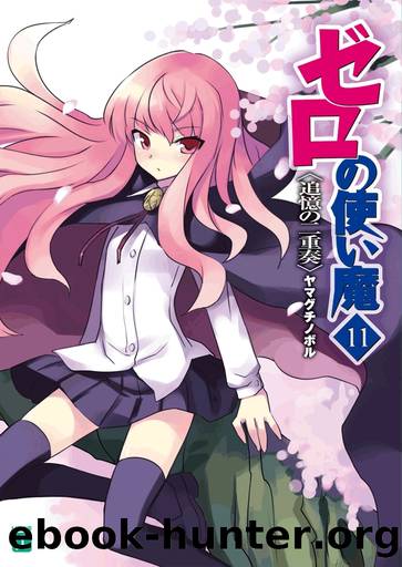Zero no Tsukaima vol.11 by Noboru Yamaguchi