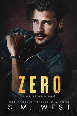 Zero: A protective hero romantic suspense by S.M. West