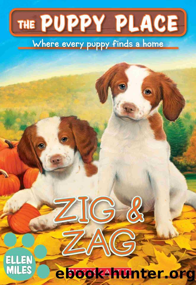 Zig & Zag by Ellen Miles