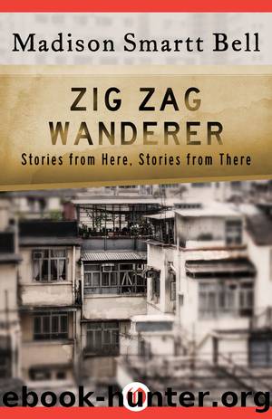 Zig Zag Wanderer by Madison Smartt Bell