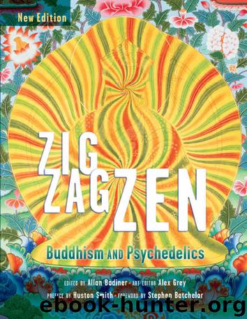 Zig Zag Zen: Buddhism and Psychedelics (New Edition) by Allan Badiner