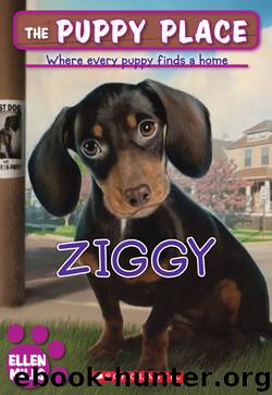 Ziggy by Ellen Miles