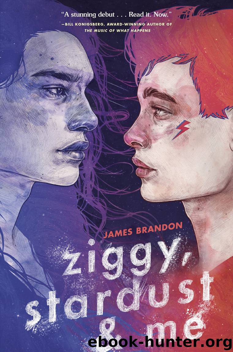 Ziggy, Stardust and Me by James Brandon