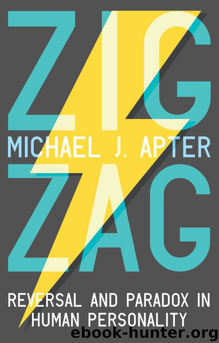 Zigzag by Michael J. Apter