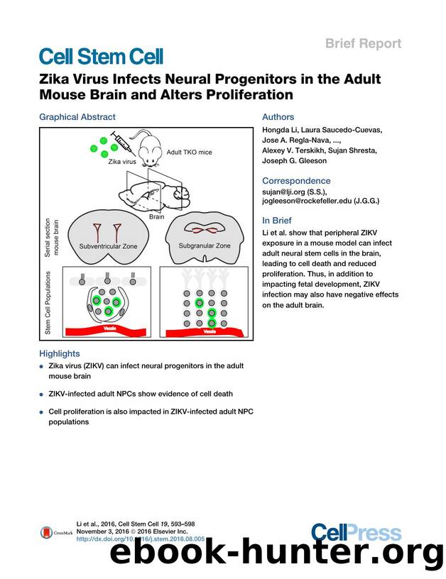 Zika Virus Infects Neural Progenitors in the Adult Mouse Brain and Alters Proliferation by unknow