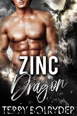 Zinc Dragon (Dragon Guard of Drakkaris Book 4) by Terry Bolryder