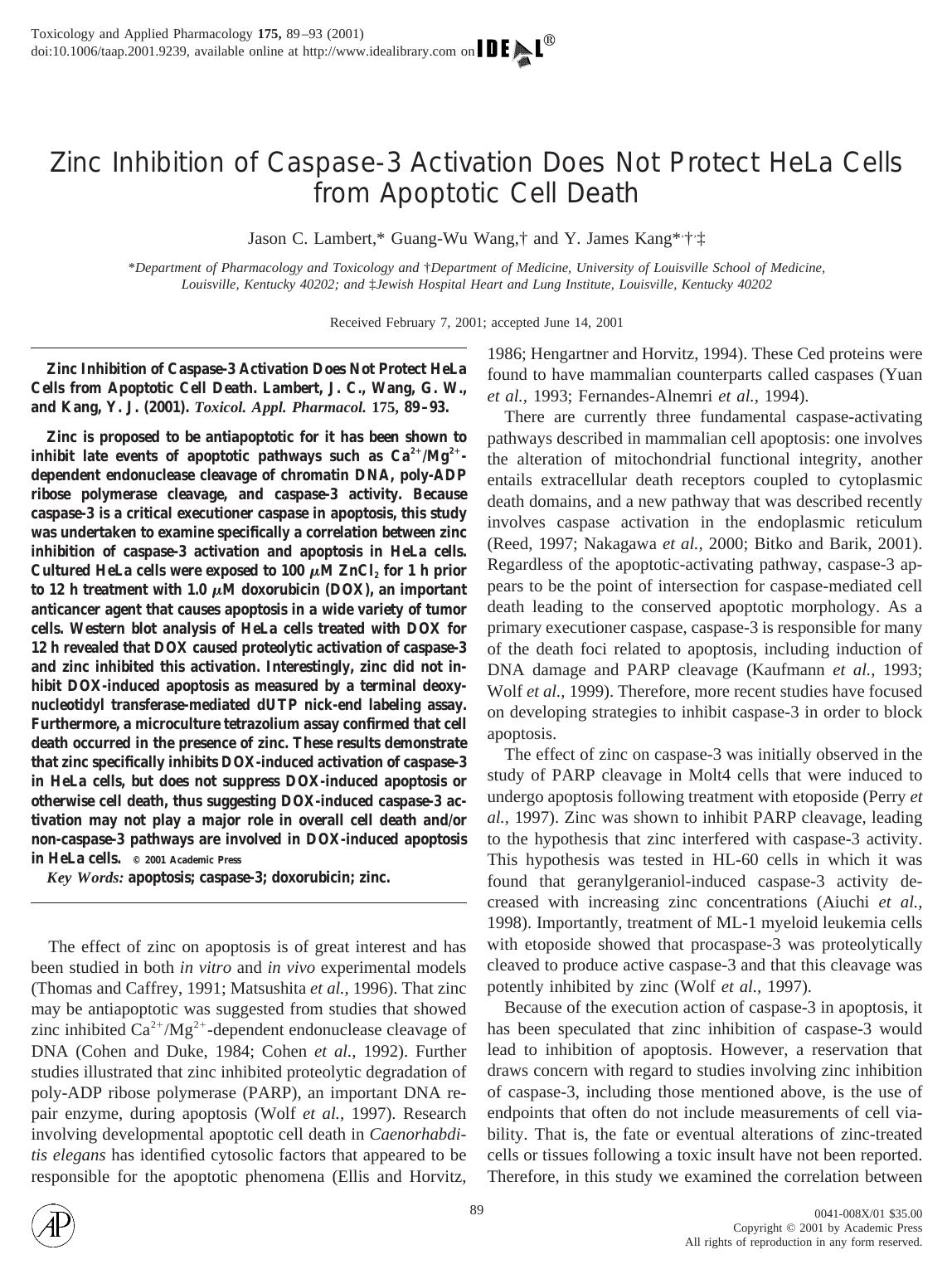 Zinc Inhibition of Caspase-3 Activation Does Not Protect HeLa Cells from Apoptotic Cell Death by Lambert J. C. et al