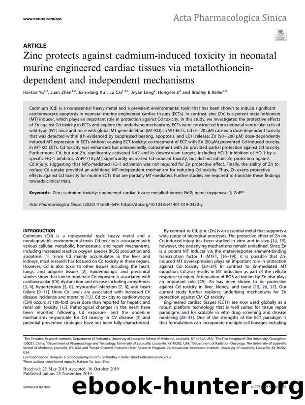 Zinc protects against cadmium-induced toxicity in neonatal murine engineered cardiac tissues via metallothionein-dependent and independent mechanisms by Hai-tao Yu & Juan Zhen & Jian-xiang Xu & Lu Cai & Ji-yan Leng & Hong-lei Ji & Bradley B Keller