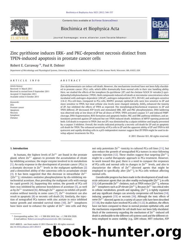 Zinc pyrithione induces ERK- and PKC-dependent necrosis distinct from TPEN-induced apoptosis in prostate cancer cells by Robert E. Carraway & Paul R. Dobner