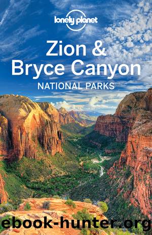 Zion & Bryce Canyon National Parks Travel Guide by Lonely Planet