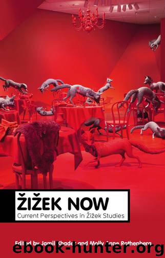 Zizek Now by Khader Jamil; Rothenberg Molly Anne; & Molly Anne Rothenberg