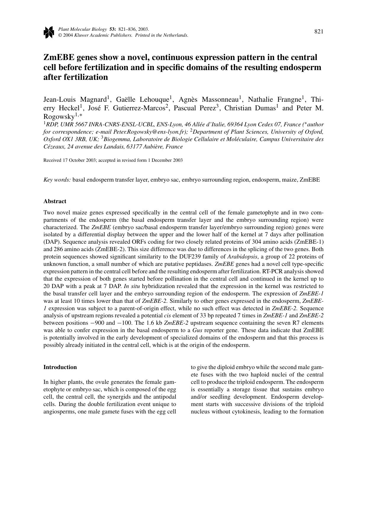 ZmEBE genes show a novel, continuous expression pattern in the central cell before fertilization and in specific domains of the resulting endosperm after fertilization by Unknown
