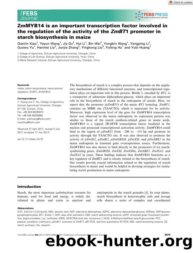 ZmMYB14 is an important transcription factor involved in the regulation of the activity of the ZmBT1 promoter in starch biosynthesis in maize by Unknown