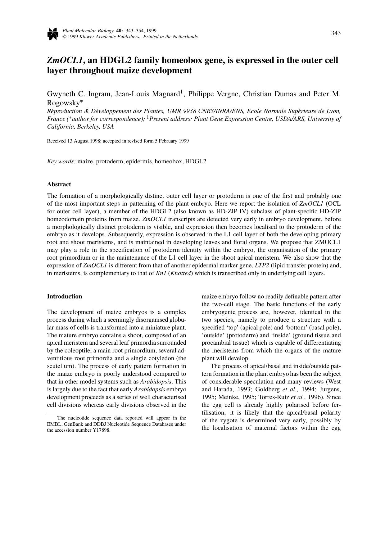 ZmOCL1, an HDGL2 family homeobox gene, is expressed in the outer cell layer throughout maize development by Unknown